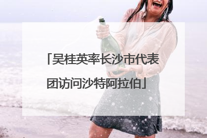 吴桂英率长沙市代表团访问沙特阿拉伯