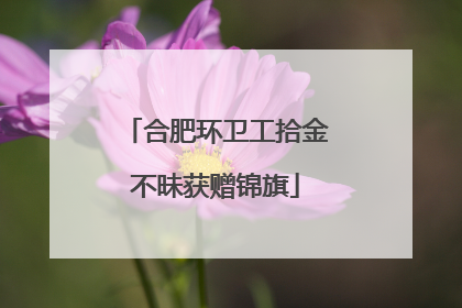 合肥环卫工拾金不昧获赠锦旗