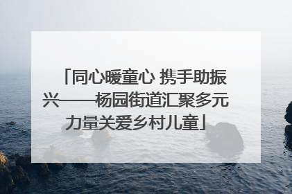 同心暖童心 携手助振兴——杨园街道汇聚多元力量关爱乡村儿童