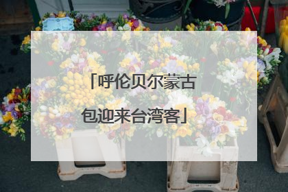 呼伦贝尔蒙古包迎来台湾客