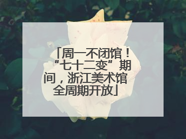 周一不闭馆！“七十二变”期间，浙江美术馆全周期开放