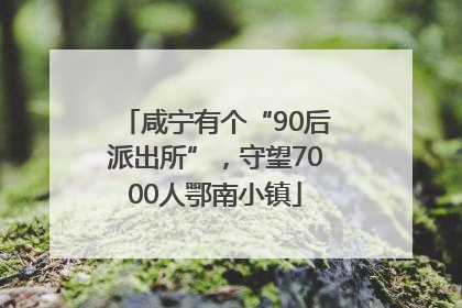 咸宁有个“90后派出所”，守望7000人鄂南小镇