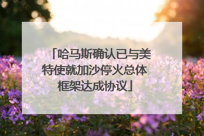 哈马斯确认已与美特使就加沙停火总体框架达成协议