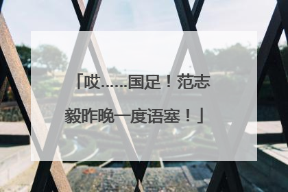 哎……国足！范志毅昨晚一度语塞！
