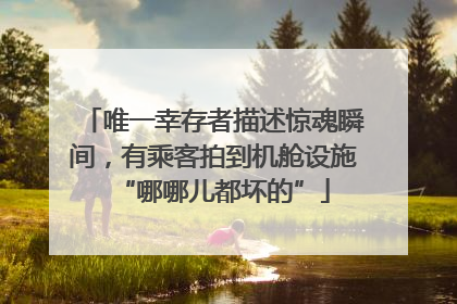 唯一幸存者描述惊魂瞬间，有乘客拍到机舱设施“哪哪儿都坏的”