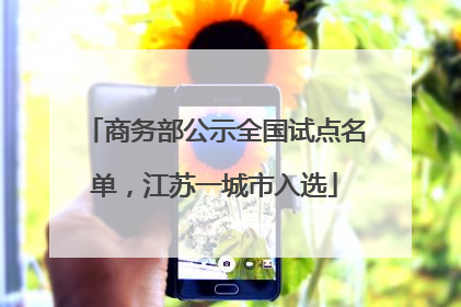 商务部公示全国试点名单，江苏一城市入选