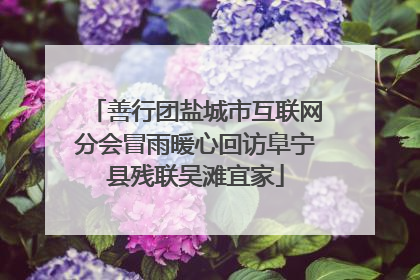 善行团盐城市互联网分会冒雨暖心回访阜宁县残联吴滩宜家