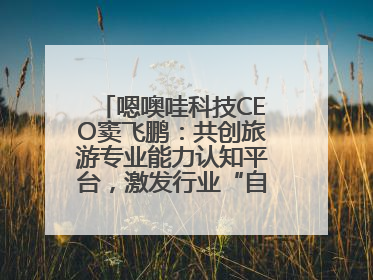 嗯噢哇科技CEO窦飞鹏：共创旅游专业能力认知平台，激发行业“自生长”力量