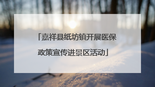 嘉祥县纸坊镇开展医保政策宣传进景区活动
