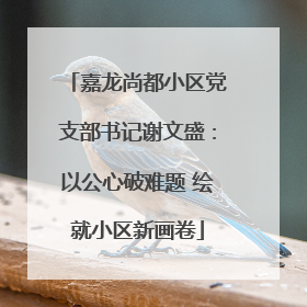 嘉龙尚都小区党支部书记谢文盛：以公心破难题 绘就小区新画卷