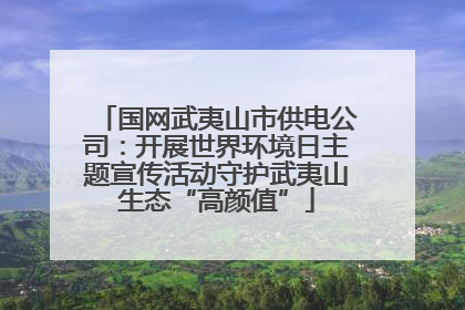 国网武夷山市供电公司：开展世界环境日主题宣传活动守护武夷山生态“高颜值”