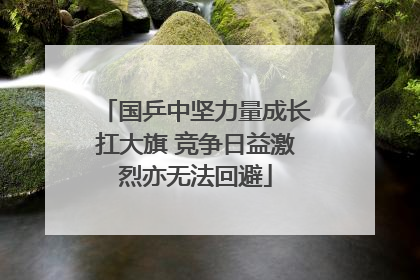 国乒中坚力量成长扛大旗 竞争日益激烈亦无法回避