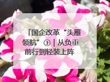 国企改革“头雁领航”③｜从负重前行到轻装上阵 重庆以“瘦身”谋“健体”
