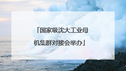 国家级沈大工业母机集群对接会举办