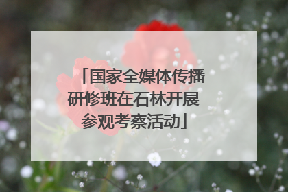 国家全媒体传播研修班在石林开展参观考察活动