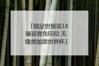 国足世预赛18强赛客负印尼 无缘美加墨世界杯