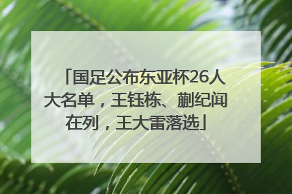 国足公布东亚杯26人大名单，王钰栋、蒯纪闻在列，王大雷落选