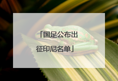 国足公布出征印尼名单