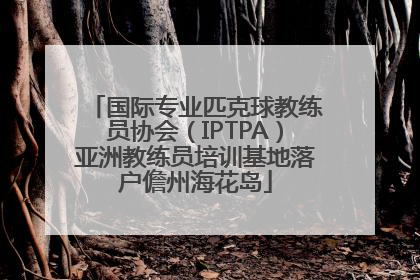 国际专业匹克球教练员协会（IPTPA）亚洲教练员培训基地落户儋州海花岛