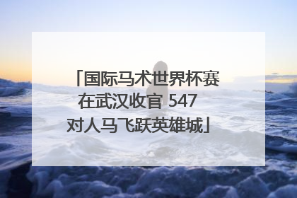 国际马术世界杯赛在武汉收官 547对人马飞跃英雄城