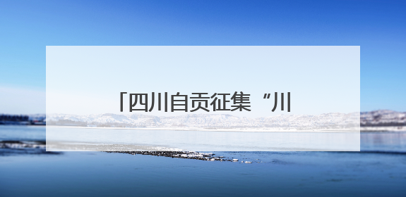 四川自贡征集“川超”队名进入投票阶段：“龙焱”“龙焰”暂居一二名