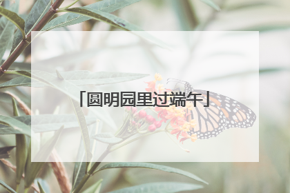 圆明园里过端午