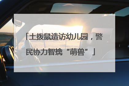 土拨鼠造访幼儿园，警民协力智擒“萌兽”