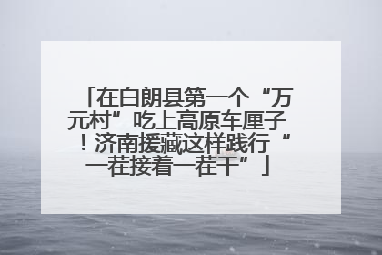 在白朗县第一个“万元村”吃上高原车厘子！济南援藏这样践行“一茬接着一茬干”