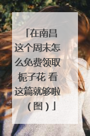在南昌 这个周末怎么免费领取栀子花 看这篇就够啦（图）