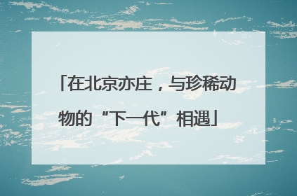 在北京亦庄，与珍稀动物的“下一代”相遇