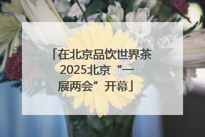 在北京品饮世界茶 2025北京“一展两会”开幕
