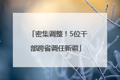 密集调整！5位干部跨省调任新疆