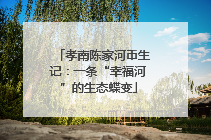 孝南陈家河重生记：一条“幸福河”的生态蝶变