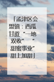 孟津区会盟镇：西瓜甘蔗“一地双收” “甜蜜事业”甜上加甜