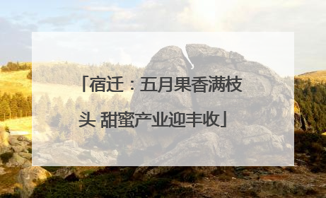 宿迁：五月果香满枝头 甜蜜产业迎丰收