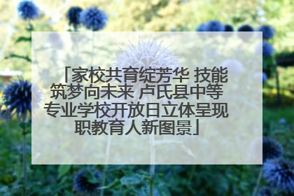 家校共育绽芳华 技能筑梦向未来 卢氏县中等专业学校开放日立体呈现职教育人新图景