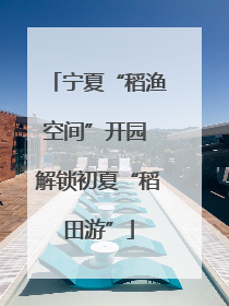 宁夏“稻渔空间”开园 解锁初夏“稻田游”