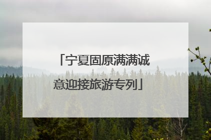 宁夏固原满满诚意迎接旅游专列