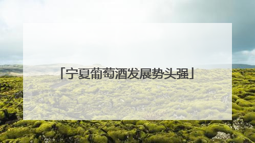 宁夏葡萄酒发展势头强
