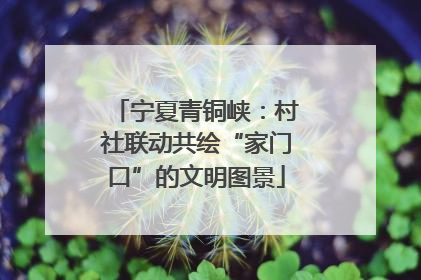 宁夏青铜峡：村社联动共绘“家门口”的文明图景