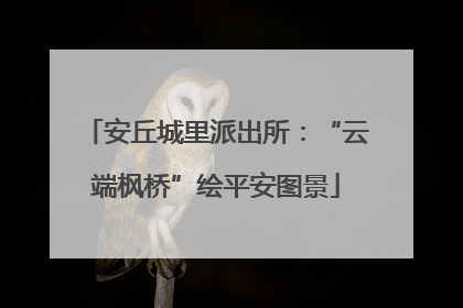 安丘城里派出所：“云端枫桥”绘平安图景