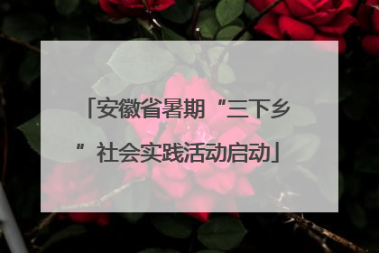 安徽省暑期“三下乡”社会实践活动启动