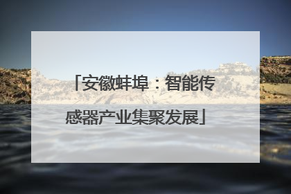 安徽蚌埠：智能传感器产业集聚发展