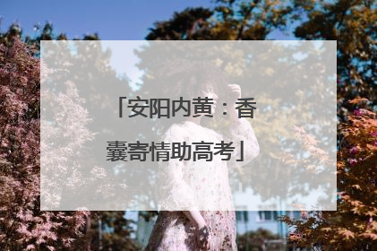安阳内黄：香囊寄情助高考