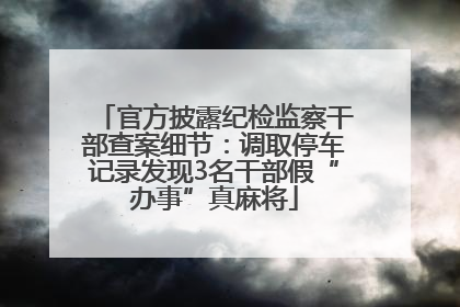 官方披露纪检监察干部查案细节：调取停车记录发现3名干部假“办事”真麻将