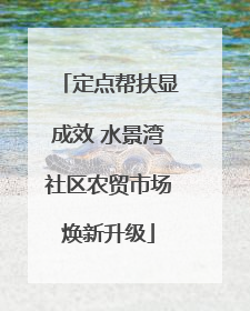 定点帮扶显成效 水景湾社区农贸市场焕新升级