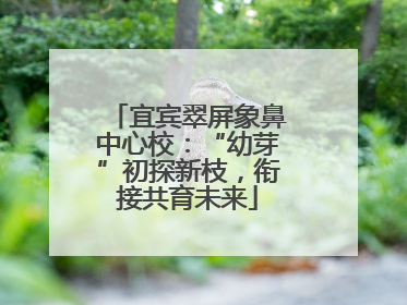 宜宾翠屏象鼻中心校：“幼芽”初探新枝，衔接共育未来