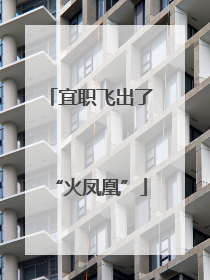 宜职飞出了“火凤凰”