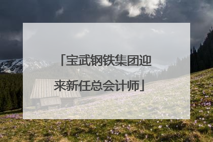 宝武钢铁集团迎来新任总会计师