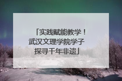 实践赋能教学！武汉文理学院学子探寻千年非遗
